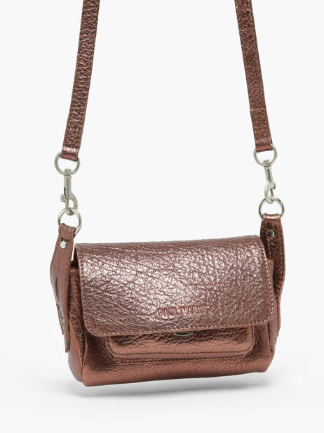 Sac Bandoulière Diane  Xs Paul marius Or vintage DIANEXS vue secondaire 2