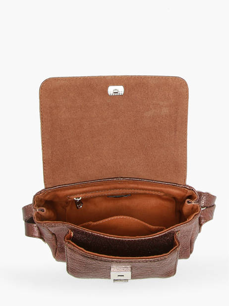 Sac Bandoulière Diane  Xs Paul marius Or vintage DIANEXS vue secondaire 3