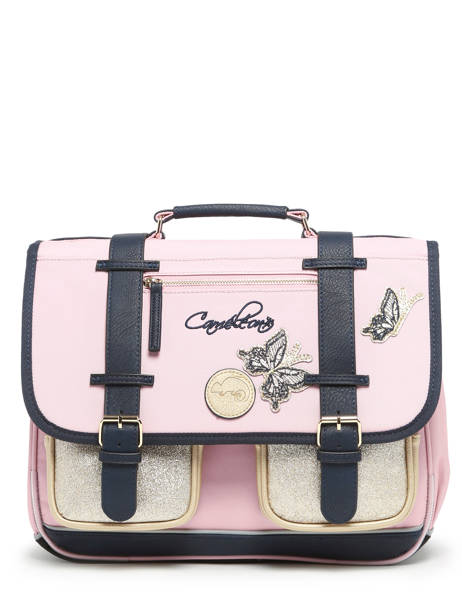 2-compartment Satchel Cameleon Pink vintage family boulanger CA38 other view 6
