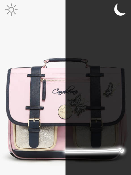 2-compartment Satchel Cameleon Pink vintage family boulanger CA38 other view 7