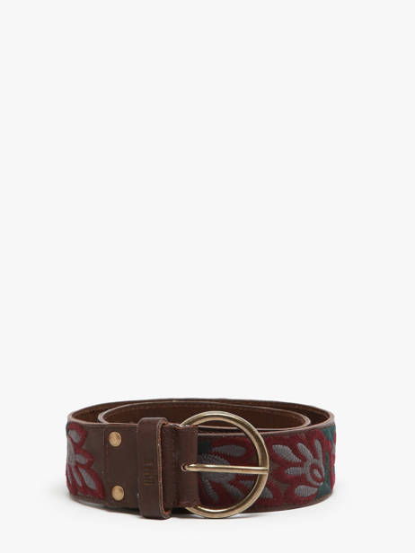 Belt Biba Brown accessoires SUM1A