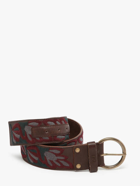 Belt Biba Brown accessoires SUM1A other view 3