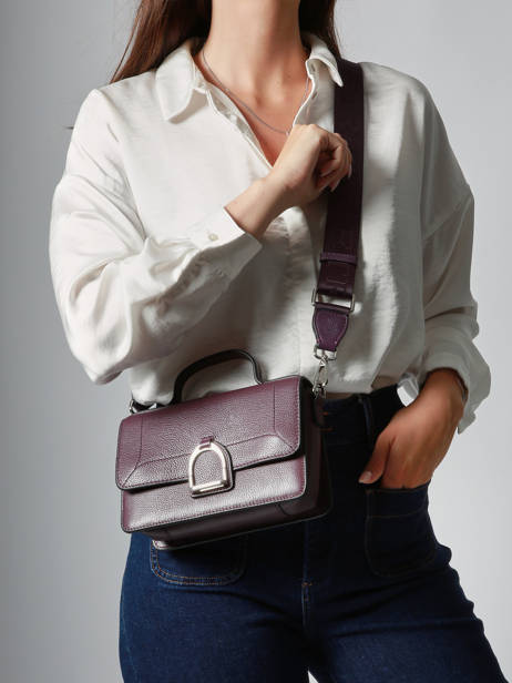 Small Leather Altesse Crossbody Bag Etrier Violet altesse EALT048S other view 1