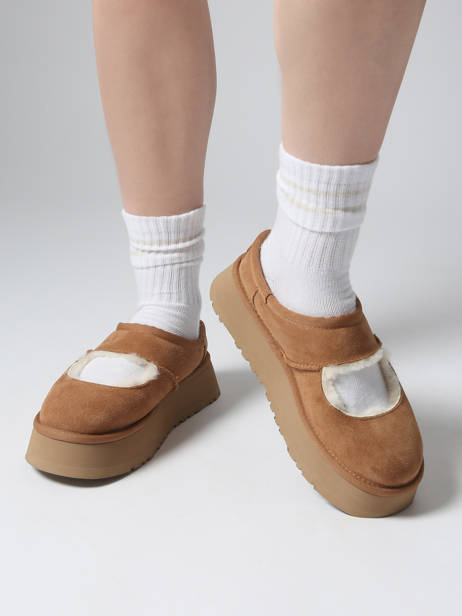 Derby Shoes In Leather Ugg Brown accessoires 1167612 other view 1