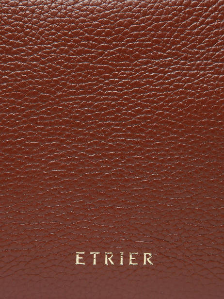 Medium Leather Tradition Belt Bag Etrier Brown tradition ETRA022M other view 5