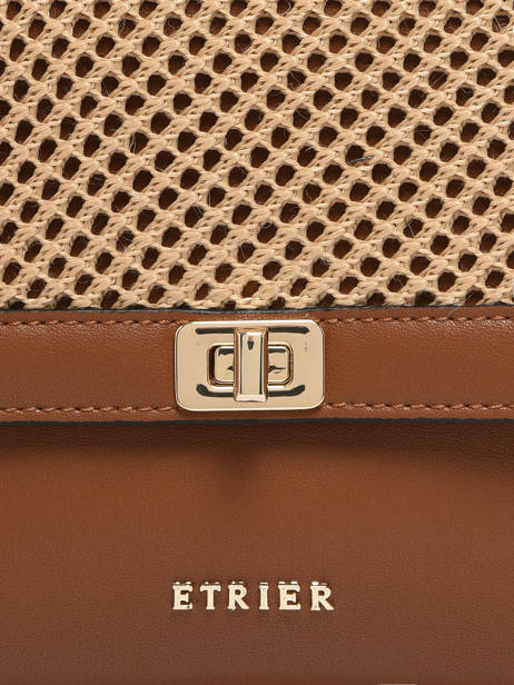 Shoulder Bag Baobab Leather Etrier Brown baobab EBAO185S other view 6