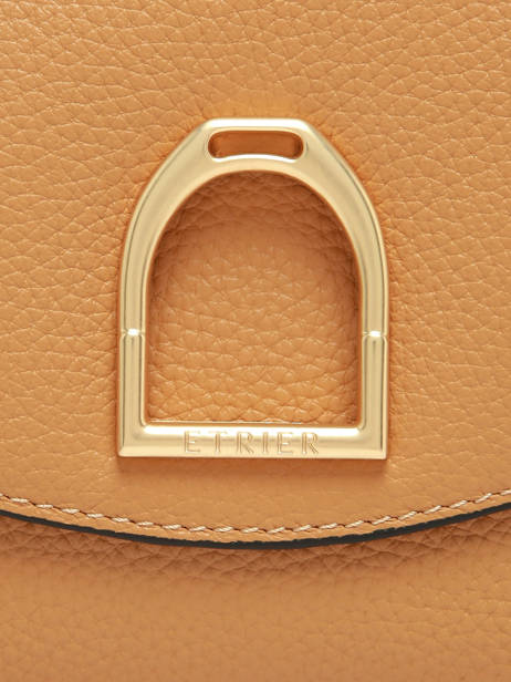 Shoulder Bag Shadow Leather Etrier Yellow shadow ESHA163M other view 5