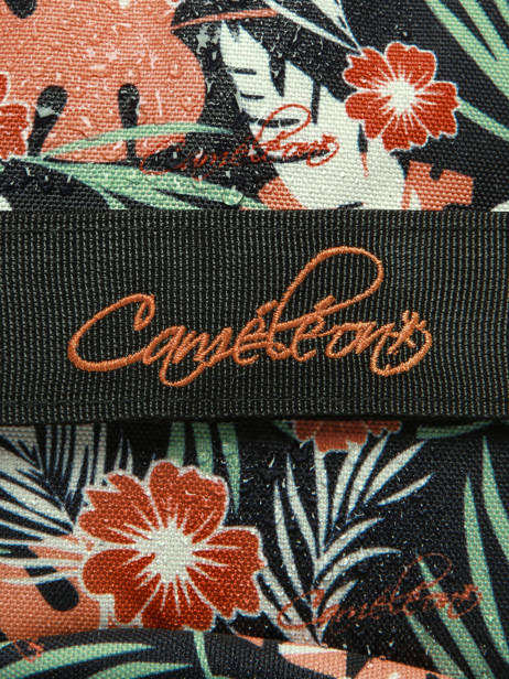 2-compartment Backpack Cameleon Multicolor futur SD45 other view 8