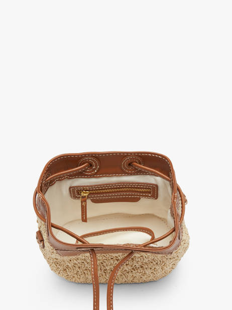 Leather And Raffia Capucine Xs Crossbody Bag Paul marius Beige raphia CAPUXRAP other view 2