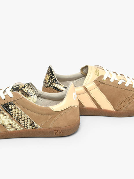 Sneakers In Leather Caval Brown women BAPULS2F other view 2