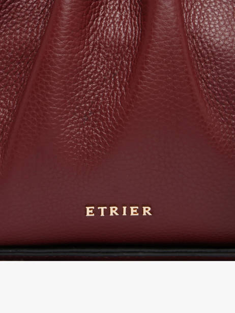 Sac Porté épaule Foudre Cuir Etrier Violet foudre EFOD238M vue secondaire 4