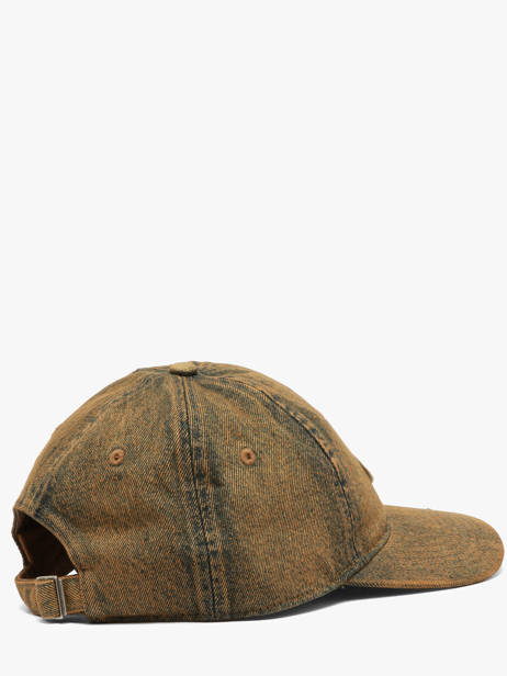 Cap Dickies Brown accessoires DK0A8DN8 other view 2