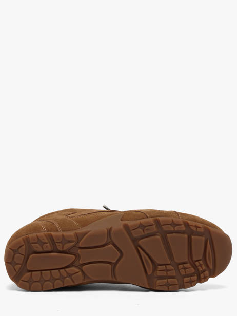 Sneakers En Cuir Steve madden Marron women 11005159 vue secondaire 4