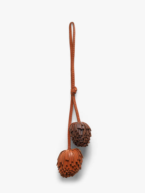 Shoulder Strap Biba Brown wallet COH8L