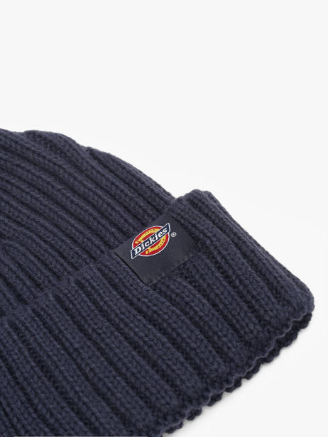 Beanie Dickies Blue accessoires DK0A4Z2O other view 1