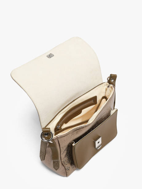 Small Leather Diane Éclipse Crossbody Bag Paul marius Gold eclipse DIANSECL other view 2