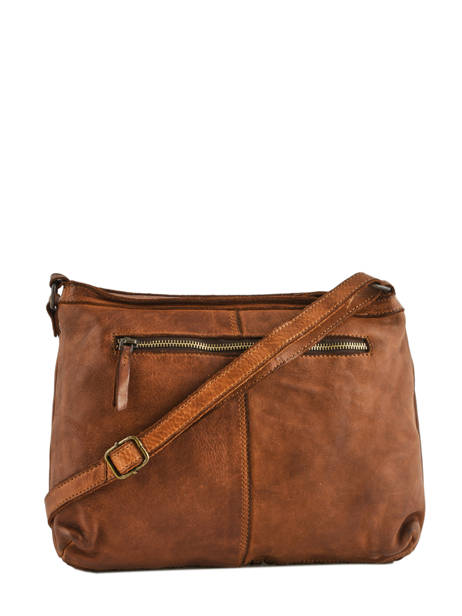Large Leather Crossbody Bag Heritage Biba Brown heritage KA2 other view 3