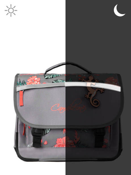 Satchel 2 Compartments Cameleon Gray actual PBBACA35 other view 6